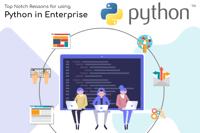 Top Notch Reasons for using Python in Enterprise - Tecocraft